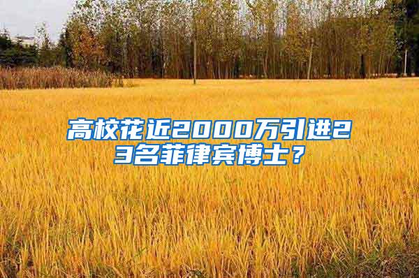 高校花近2000万引进23名菲律宾博士？