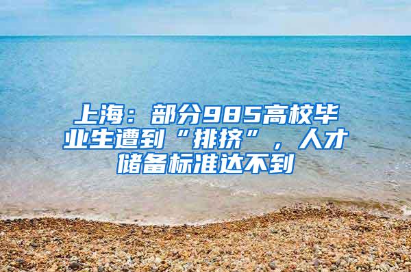 上海：部分985高校毕业生遭到“排挤”，人才储备标准达不到