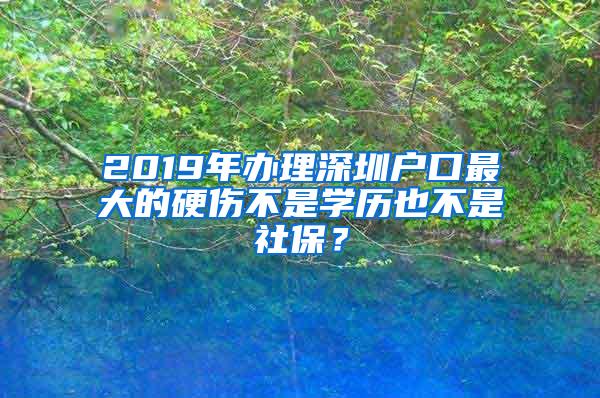 2019年办理深圳户口最大的硬伤不是学历也不是社保？