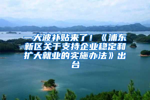 一大波补贴来了！《浦东新区关于支持企业稳定和扩大就业的实施办法》出台