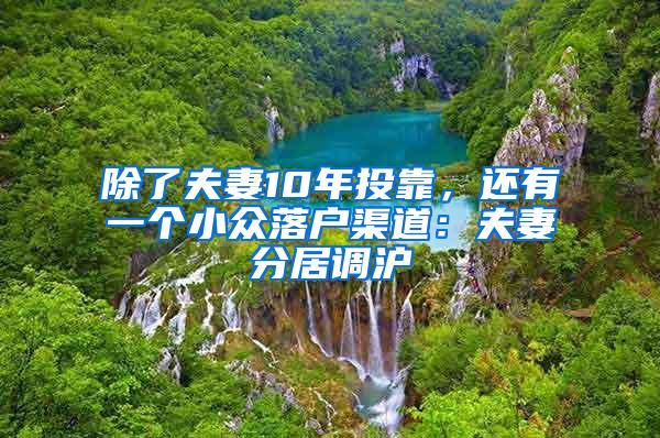 除了夫妻10年投靠，还有一个小众落户渠道：夫妻分居调沪