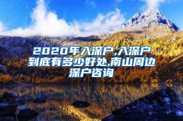 2020年入深户,入深户到底有多少好处,南山周边深户咨询