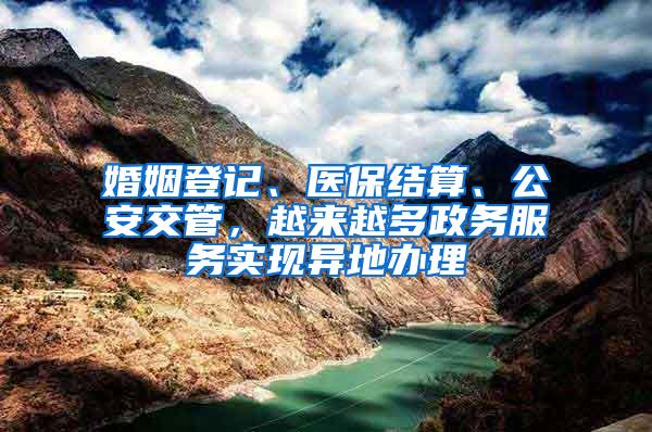 婚姻登记、医保结算、公安交管，越来越多政务服务实现异地办理