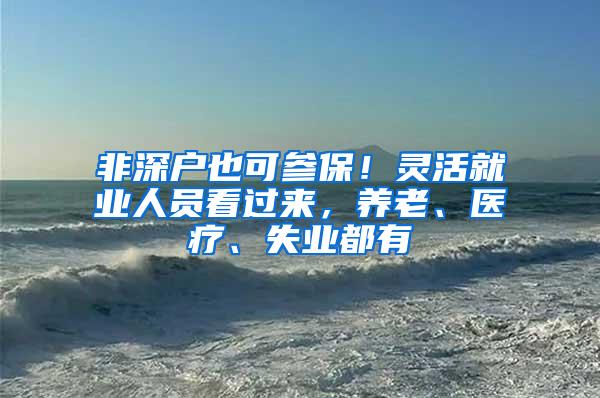 非深户也可参保！灵活就业人员看过来，养老、医疗、失业都有