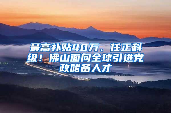 最高补贴40万、任正科级！佛山面向全球引进党政储备人才