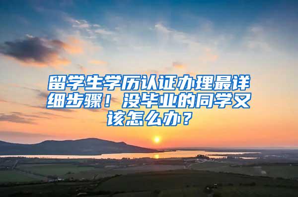 留学生学历认证办理最详细步骤！没毕业的同学又该怎么办？