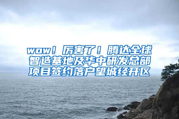 wow！厉害了！腾达全球智造基地及华中研发总部项目签约落户望城经开区