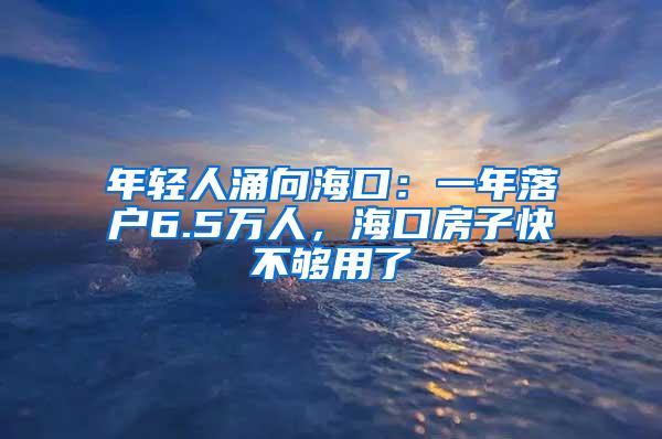 年轻人涌向海口：一年落户6.5万人，海口房子快不够用了