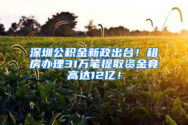 深圳公积金新政出台！租房办理31万笔提取资金竟高达12亿！