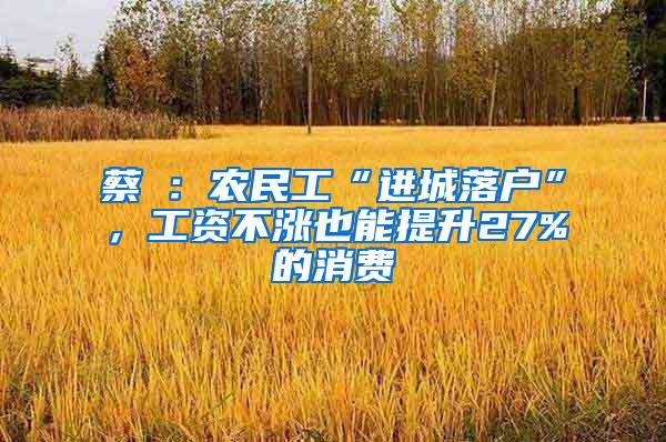 蔡昉：农民工“进城落户”，工资不涨也能提升27%的消费