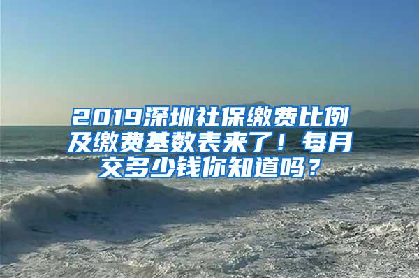 2019深圳社保缴费比例及缴费基数表来了！每月交多少钱你知道吗？