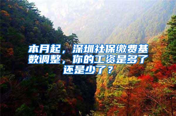 本月起，深圳社保缴费基数调整，你的工资是多了还是少了？