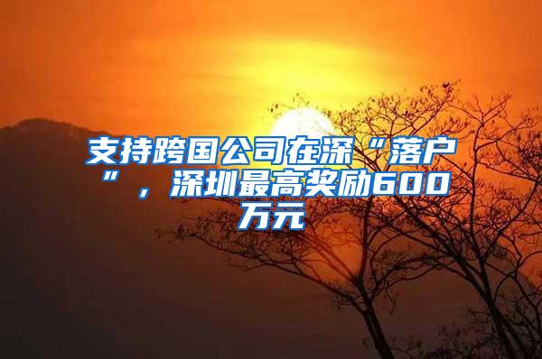 支持跨国公司在深“落户”，深圳最高奖励600万元