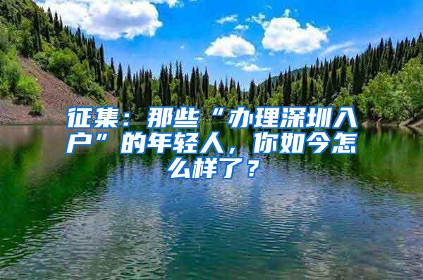 征集：那些“办理深圳入户”的年轻人，你如今怎么样了？