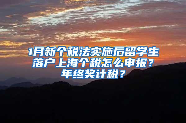 1月新个税法实施后留学生落户上海个税怎么申报？年终奖计税？