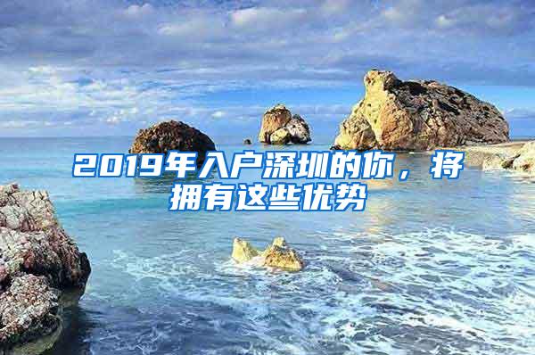 2019年入户深圳的你，将拥有这些优势