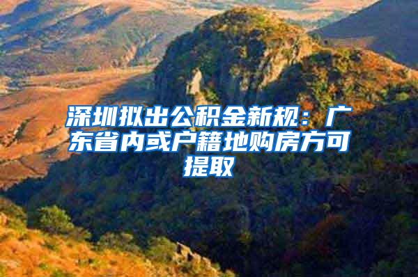 深圳拟出公积金新规：广东省内或户籍地购房方可提取