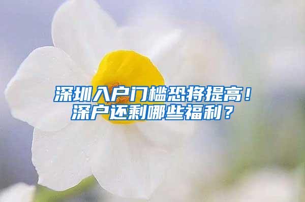 深圳入户门槛恐将提高！深户还剩哪些福利？