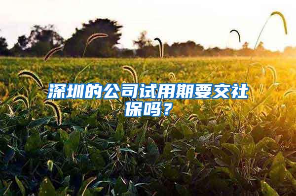 深圳的公司试用期要交社保吗？