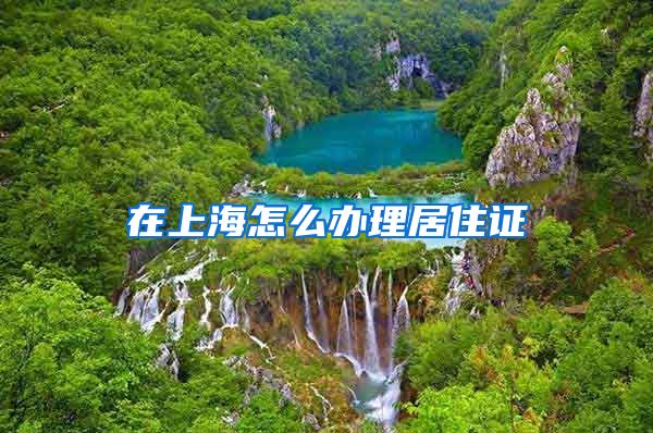 在上海怎么办理居住证