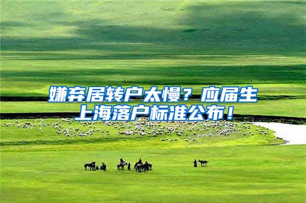 嫌弃居转户太慢？应届生上海落户标准公布！