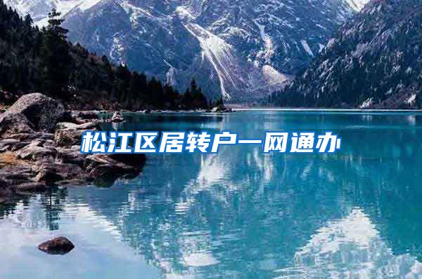 松江区居转户一网通办