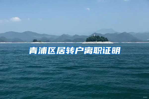 青浦区居转户离职证明