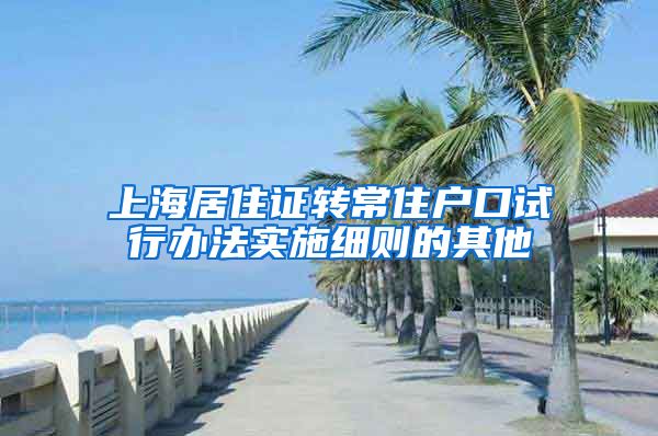 上海居住证转常住户口试行办法实施细则的其他