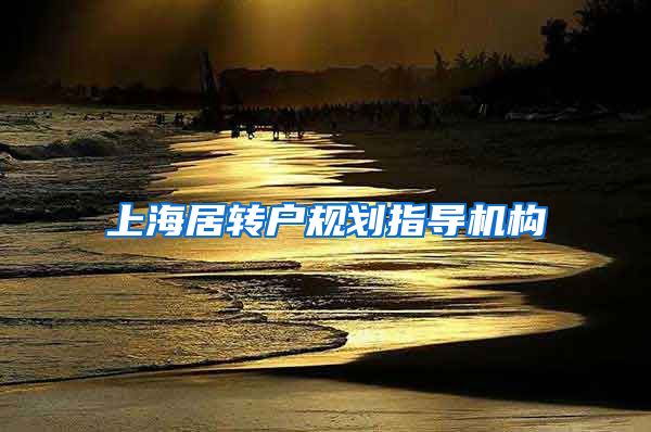 上海居转户规划指导机构