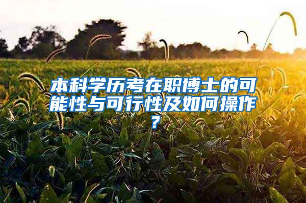 本科学历考在职博士的可能性与可行性及如何操作？