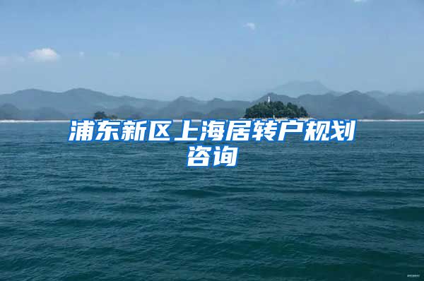 浦东新区上海居转户规划咨询