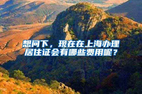 想问下，现在在上海办理居住证会有哪些费用呢？