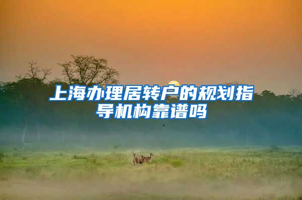 上海办理居转户的规划指导机构靠谱吗