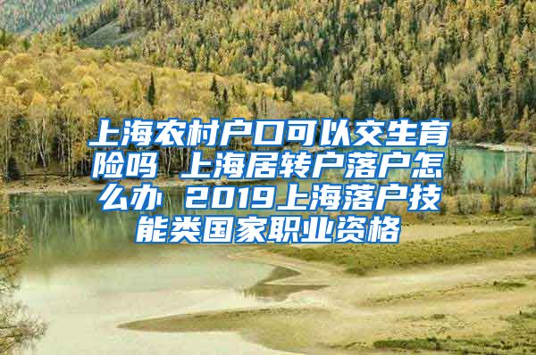 上海农村户口可以交生育险吗 上海居转户落户怎么办 2019上海落户技能类国家职业资格