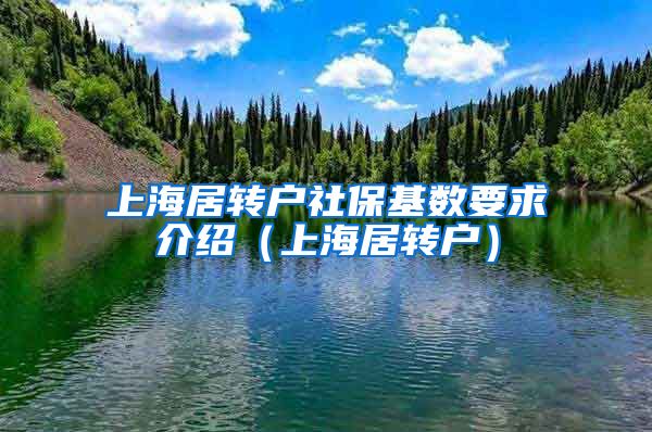 上海居转户社保基数要求介绍（上海居转户）