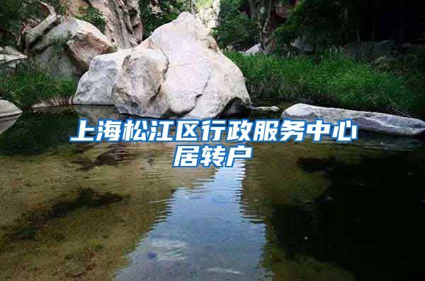 上海松江区行政服务中心居转户