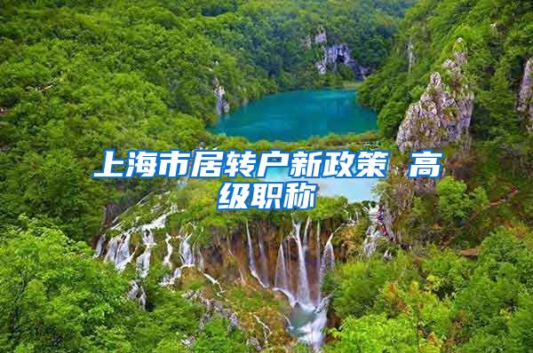 上海市居转户新政策 高级职称