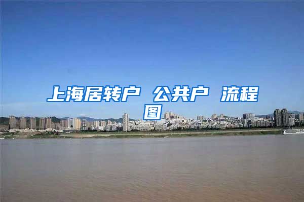 上海居转户 公共户 流程图