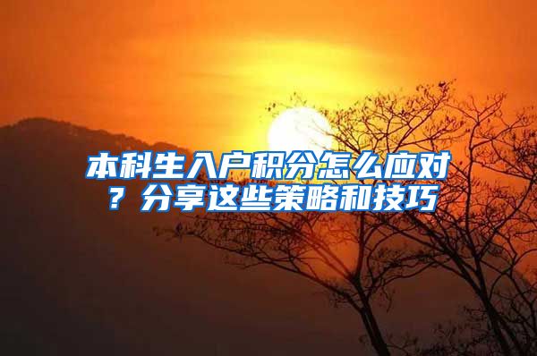 本科生入户积分怎么应对？分享这些策略和技巧