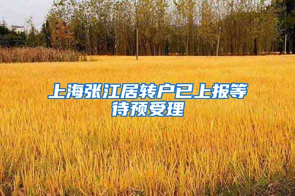 上海张江居转户已上报等待预受理