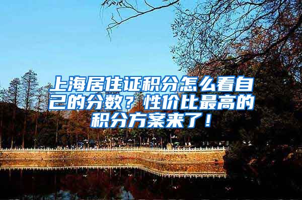 上海居住证积分怎么看自己的分数？性价比最高的积分方案来了！