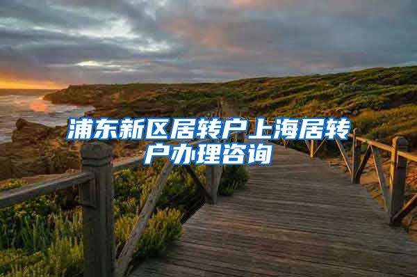 浦东新区居转户上海居转户办理咨询