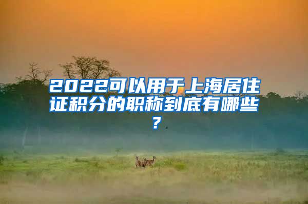 2022可以用于上海居住证积分的职称到底有哪些？