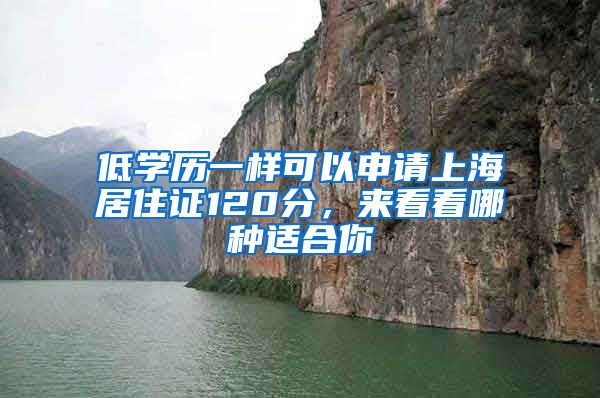 低学历一样可以申请上海居住证120分，来看看哪种适合你