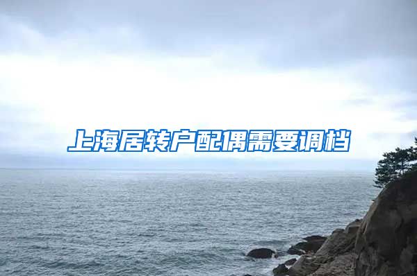 上海居转户配偶需要调档