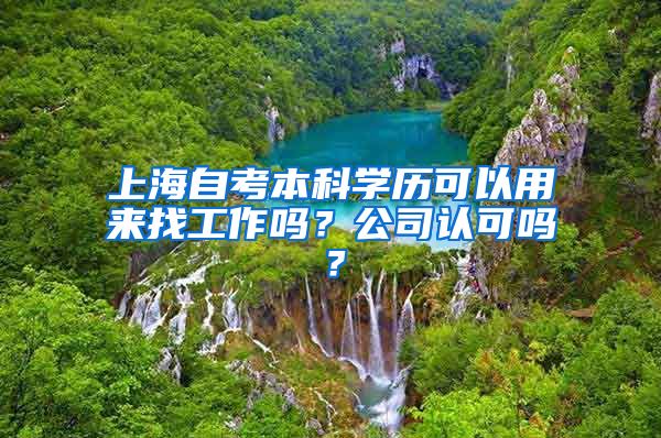 上海自考本科学历可以用来找工作吗？公司认可吗？