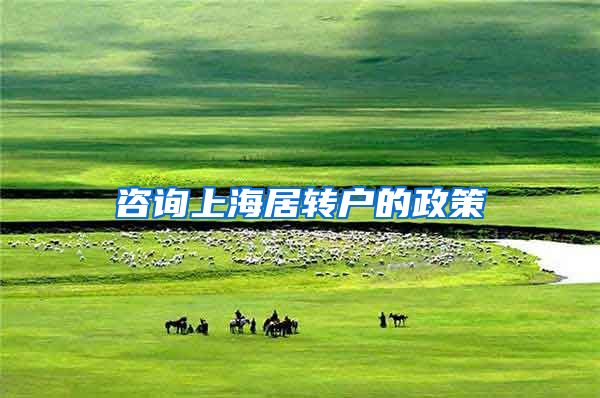 咨询上海居转户的政策