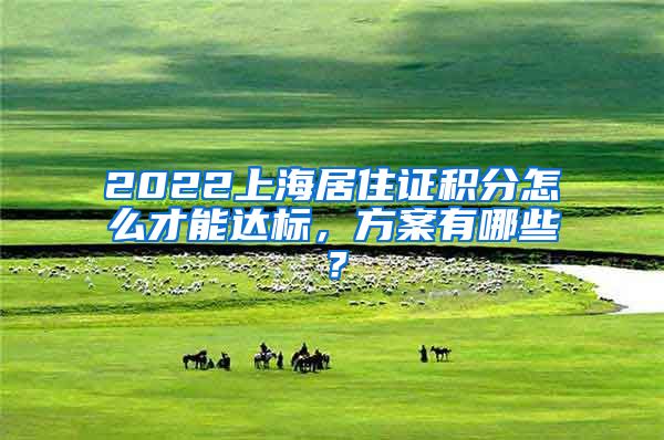 2022上海居住证积分怎么才能达标，方案有哪些？
