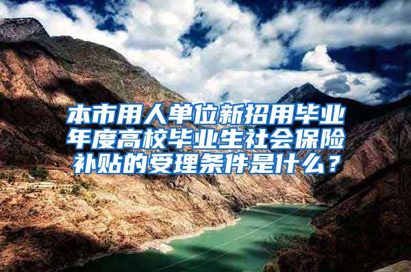 本市用人单位新招用毕业年度高校毕业生社会保险补贴的受理条件是什么？