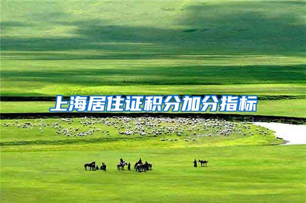 上海居住证积分加分指标